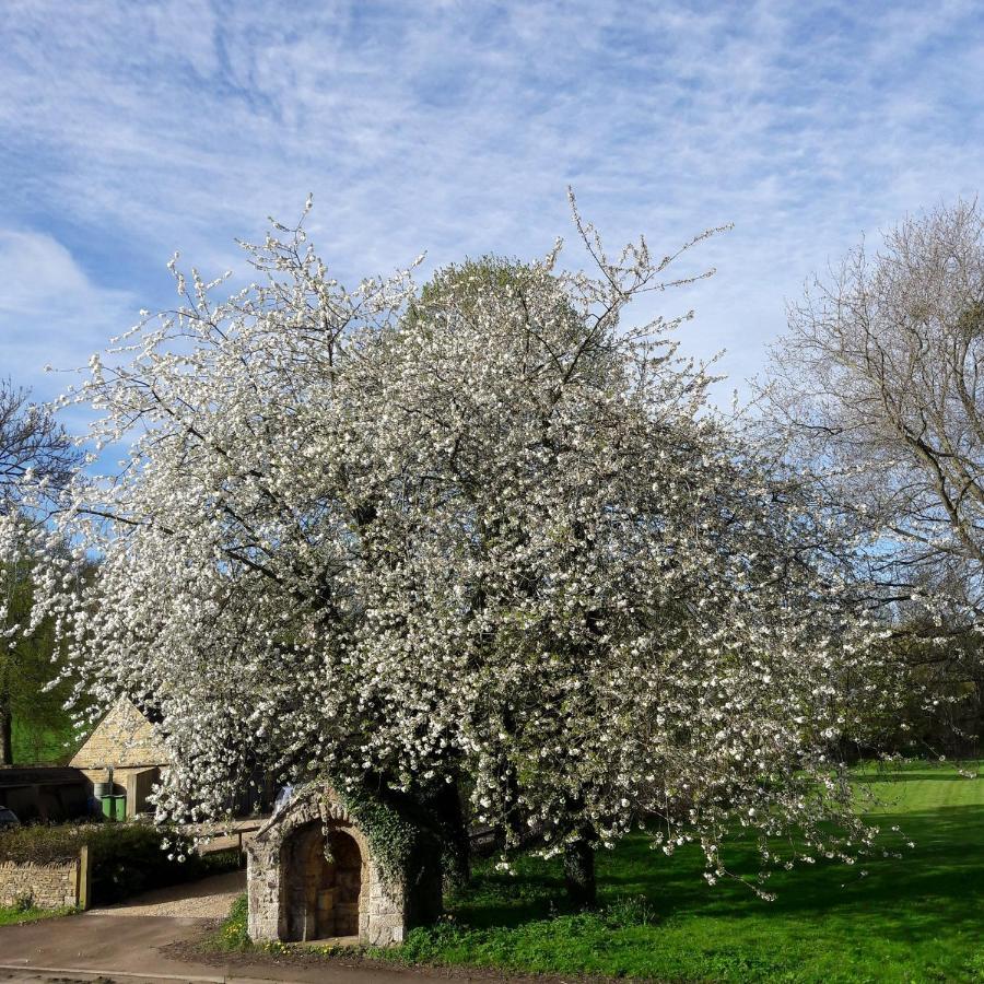 Wayside House B&B Whichford Экстерьер фото